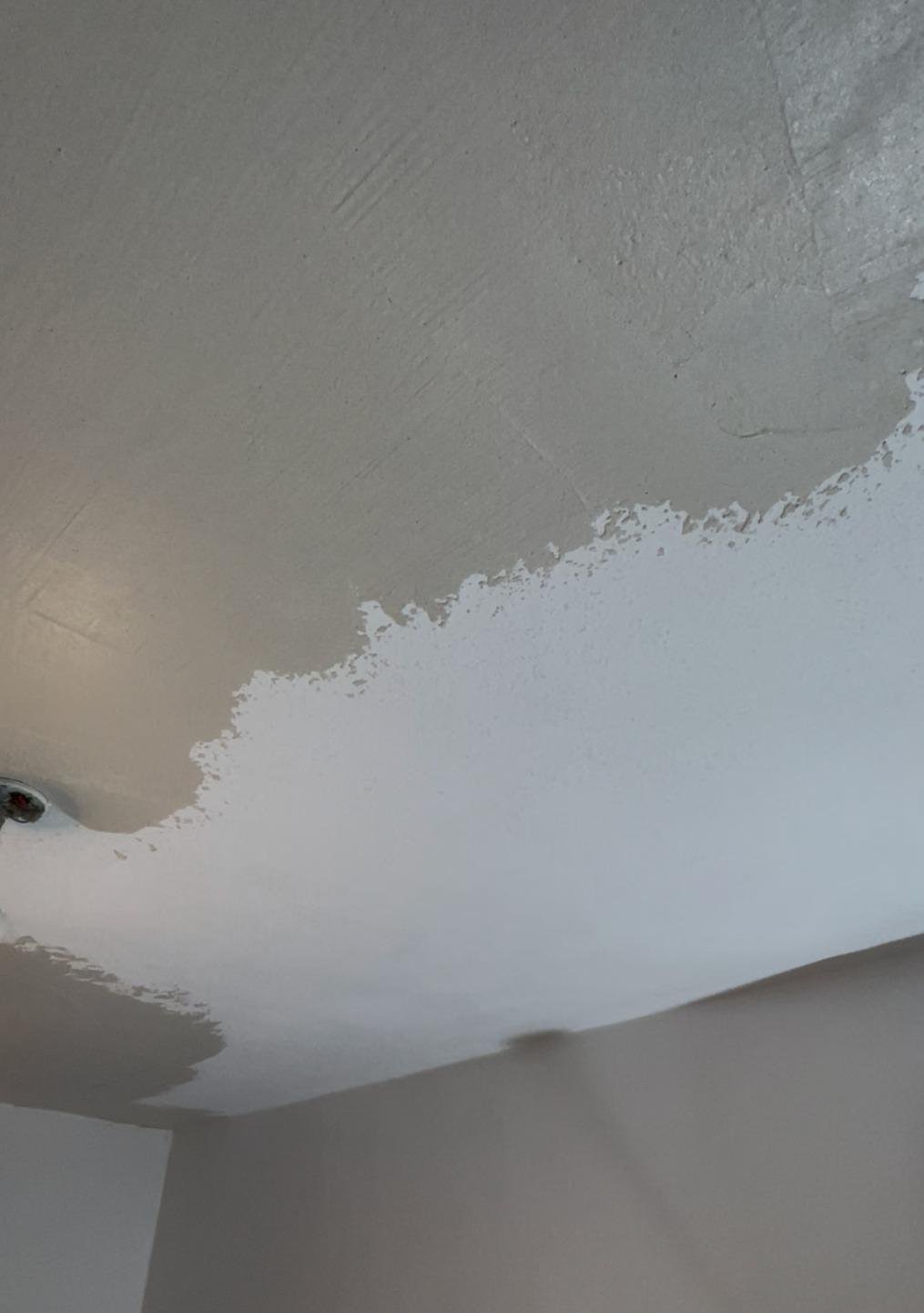 New plasterboard kitchen ceiling fixed to a timber frame before finishing, Edinburgh